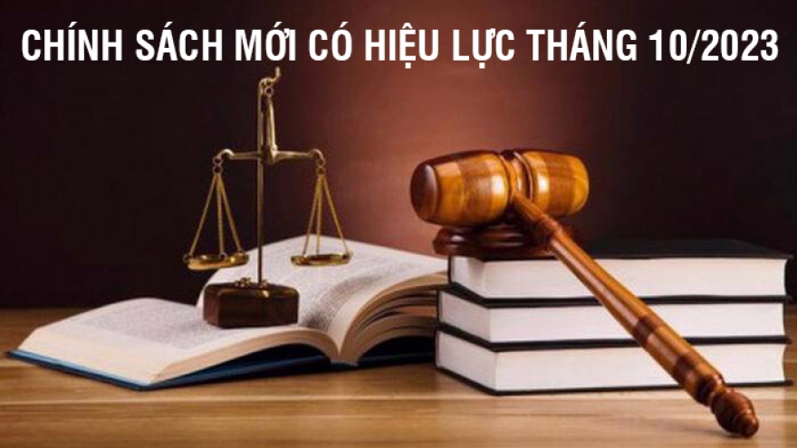 Những chính sách mới có hiệu lực từ tháng 10/2023